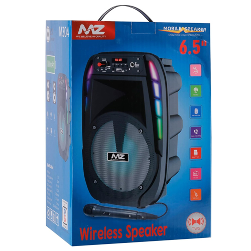 MZ M304 Bluetooth Speaker